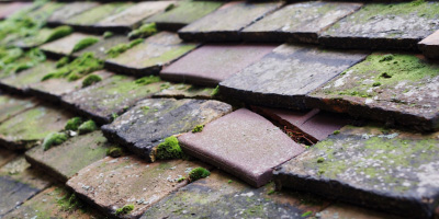 Llangwm Isaf roof repair costs